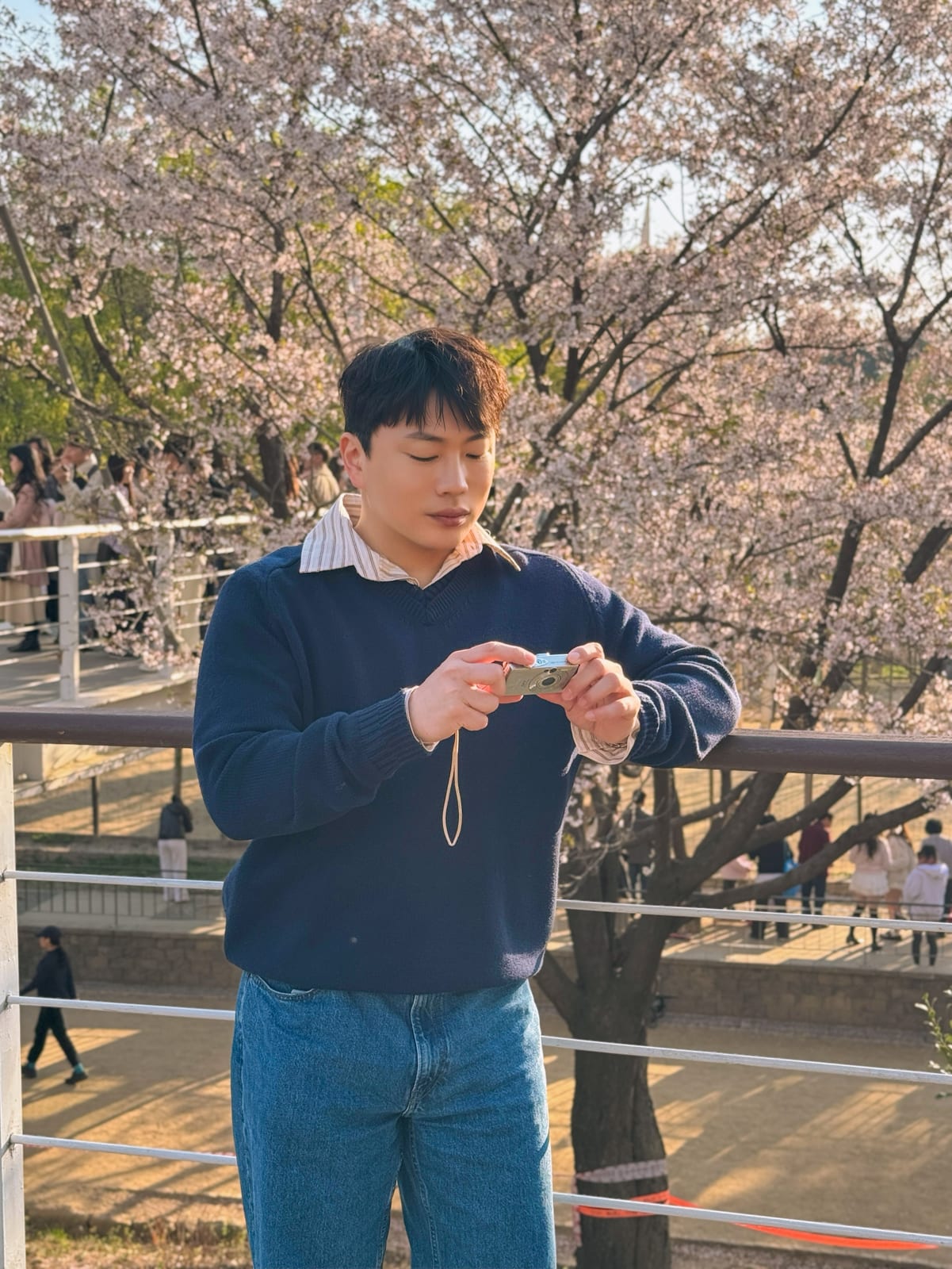 2026 벚꽃 — WKND MOOD